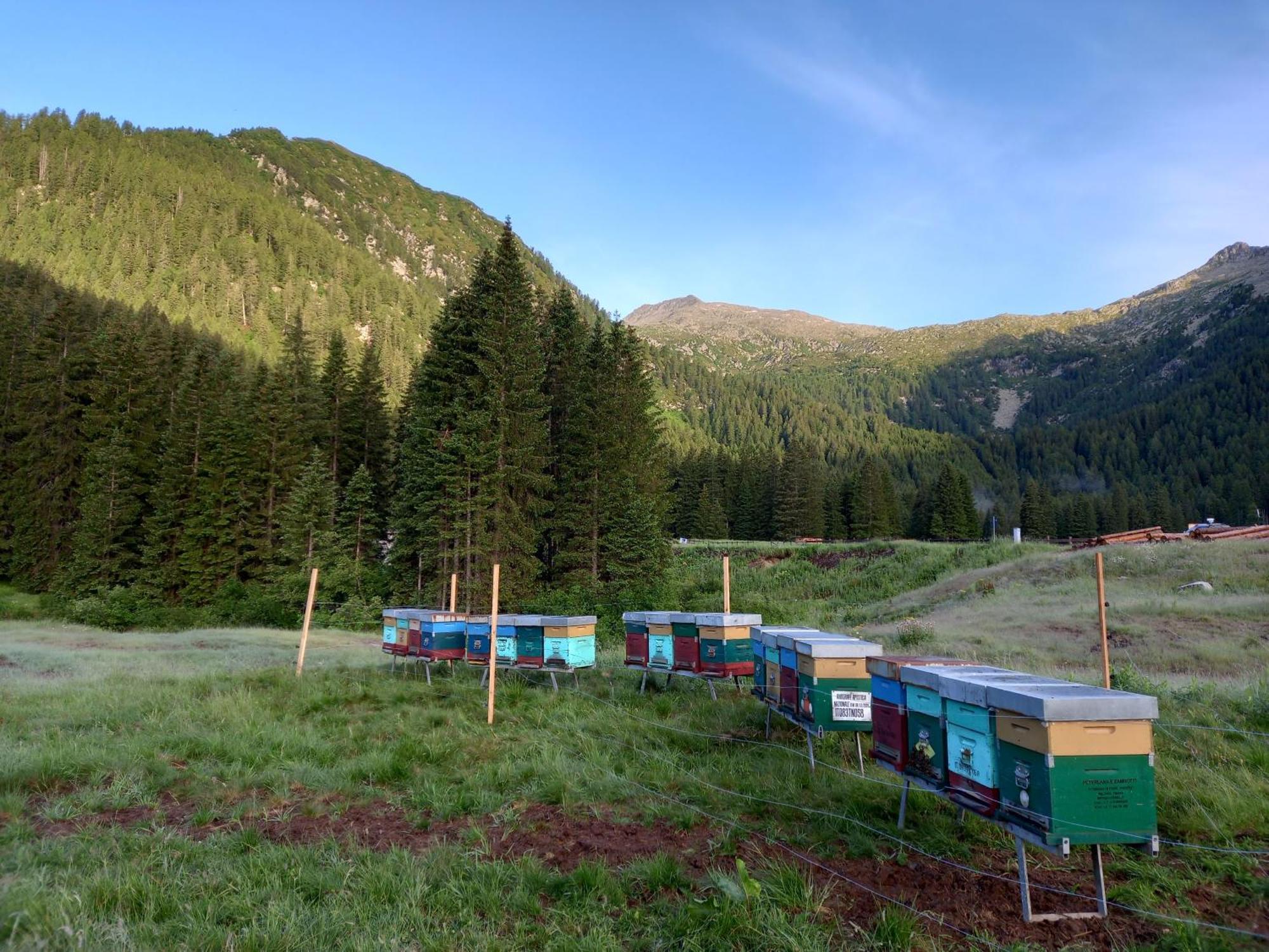 Agritur Ca' De Mel Villa Fiavè Buitenkant foto